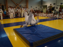 Cérémonie de fin de saison 2016-2017