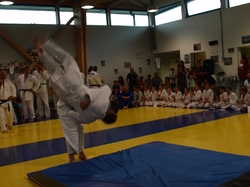 Cérémonie de fin de saison 2016-2017