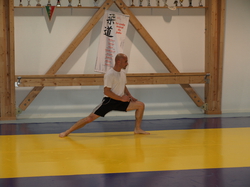 Cours adultes 2015-2016