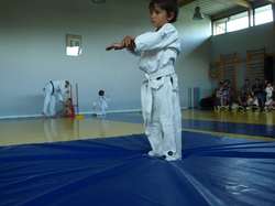 Dernier cours Initiation Baby 2015-2016