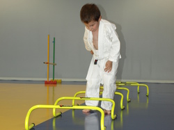 Dernier cours baby judo saison 2014-2015