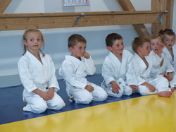 Dernier cours baby judo saison 2014-2015