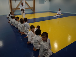 Dernier cours baby judo saison 2014-2015