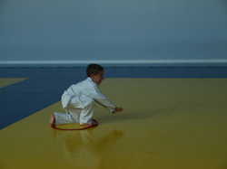 Dernier cours Initiation Baby 2015-2016