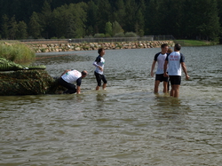 Extra Race Beaujolais Vert