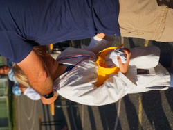 REMISE DE GRADES 2021