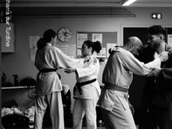 STAGE JUDO VÉTÉRANTS