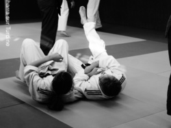 STAGE JUDO VÉTÉRANTS